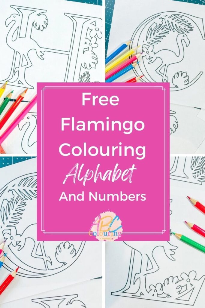 Free Printable ABC Colouring Flamingo Alphabet and numbers