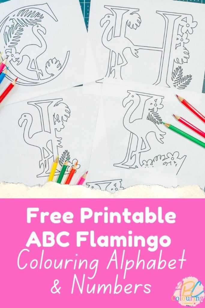 Free Printable ABC Flamingo Alphabet and numbers for colouring and maths games