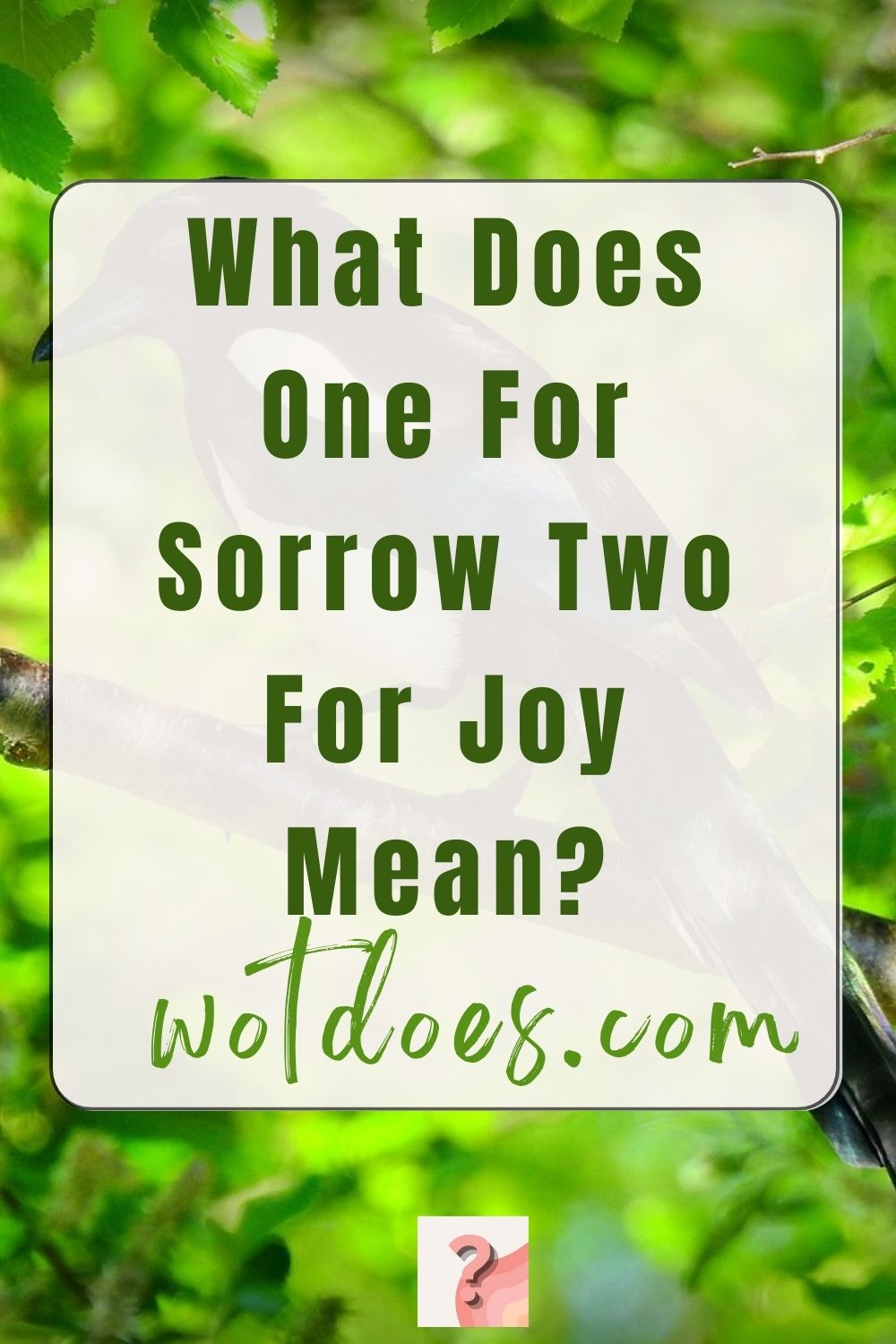 What Does One For Sorrow Two For Joy Mean? Wot Does...