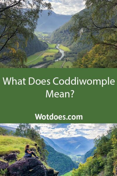 What Does Coddiwomple Mean? Pin image